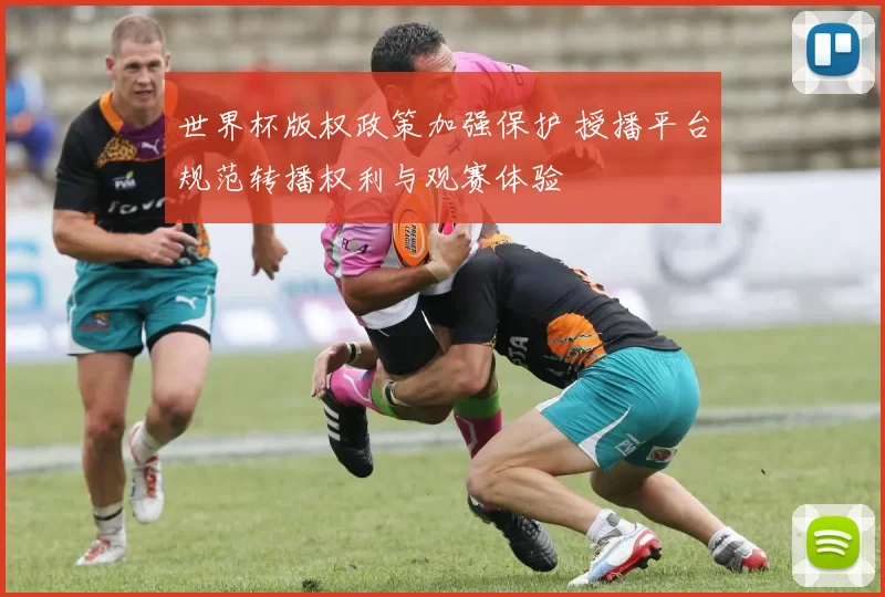 世界杯版权政策加强保护 授播平台规范转播权利与观赛体验