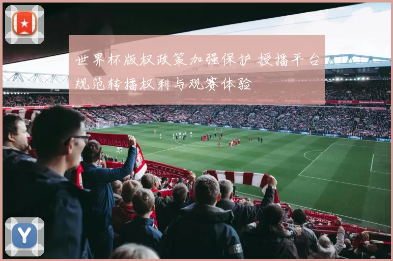 世界杯版权政策加强保护 授播平台规范转播权利与观赛体验
